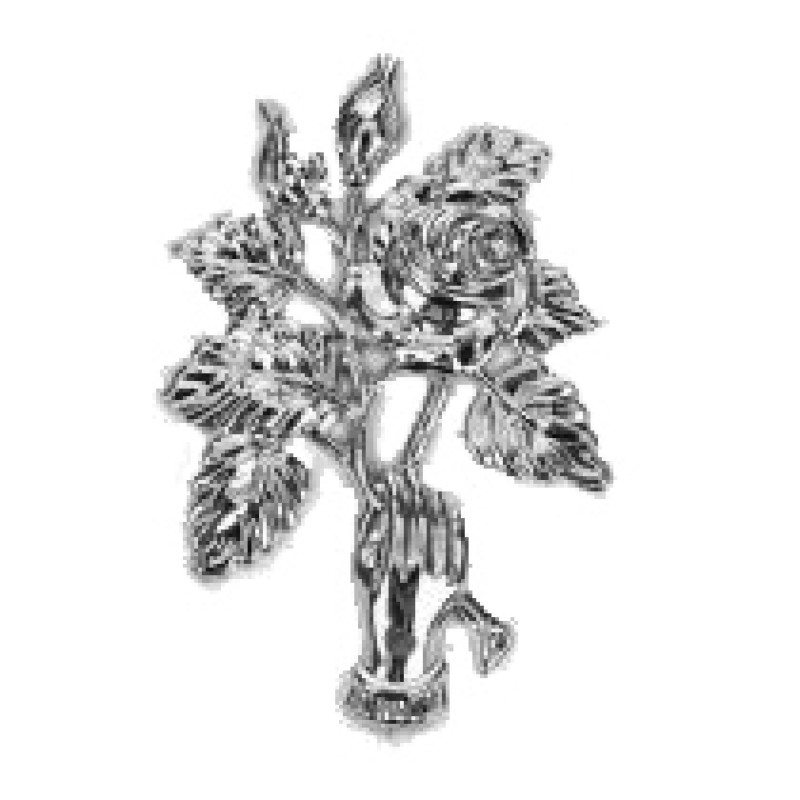 Child Rose in Hand