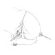 Ezi Calvarium Clamps