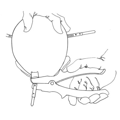 Side Cutter