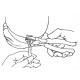 Ezi Calvarium Clamps