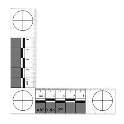 Scale Rule ABFO