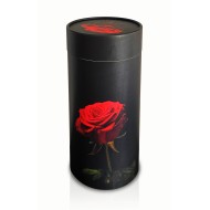 Scatter Tube La Rosa - Large
