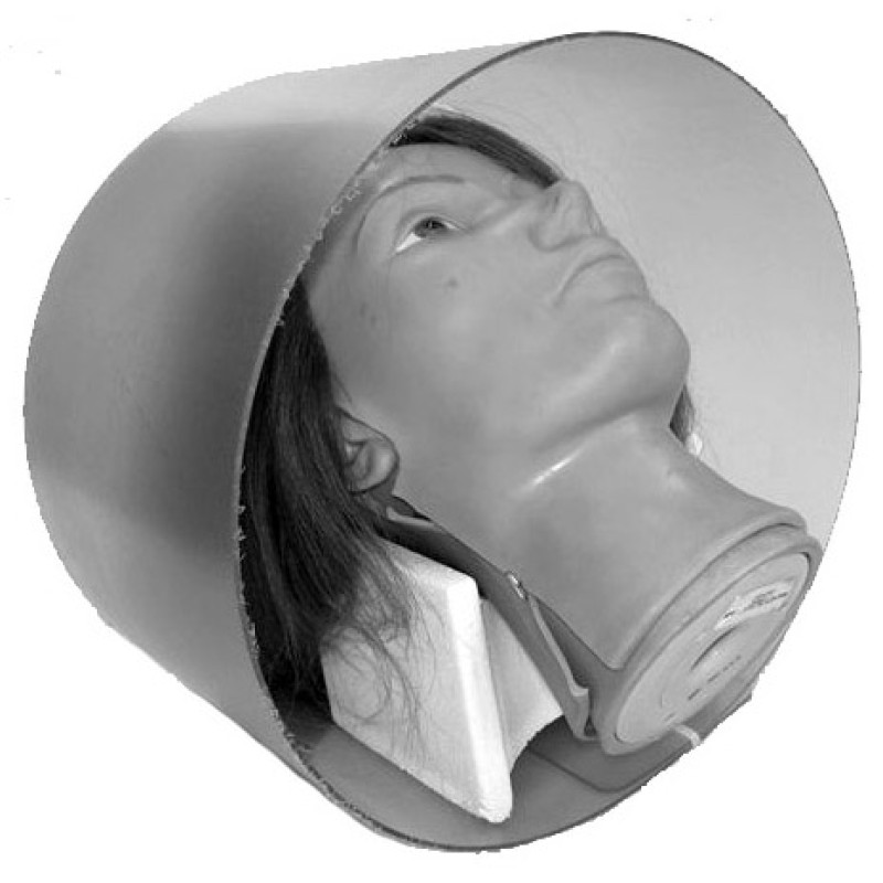 Repatriation Feature Protector
