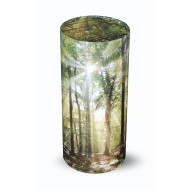 Large Scatter Tube Sunshine Forest