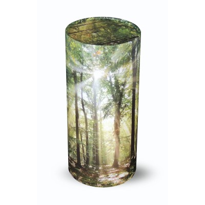 Large Scatter Tube Sunshine Forest