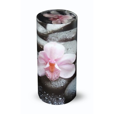 Large Scatter Tube Orchid
