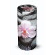 Large Scatter Tube Orchid
