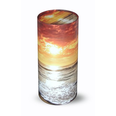 Large Scatter Tube Evening Tide