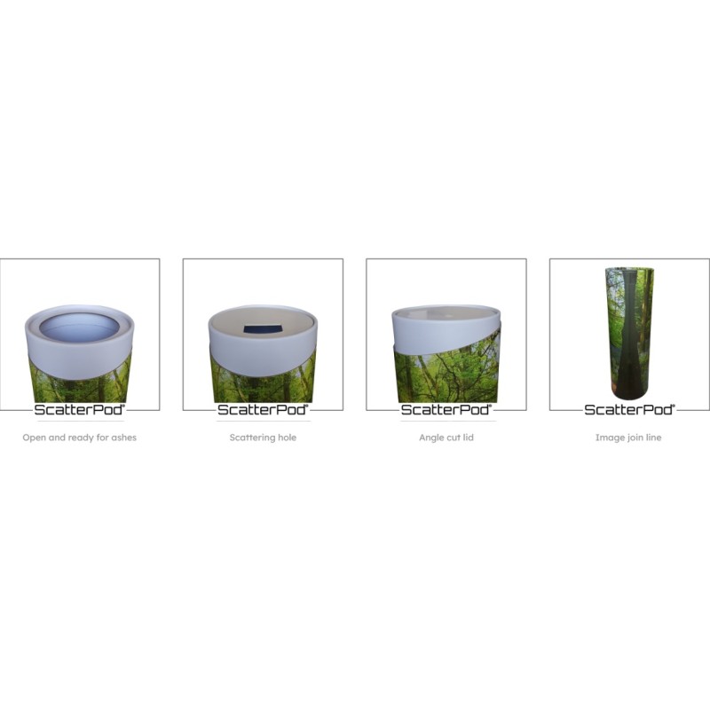 Woodland Alley Large Round Scatter Pod