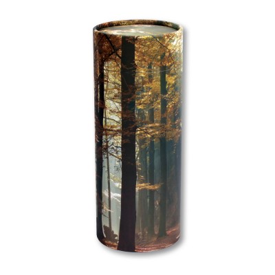 Scatter Tube Autumn Woods 