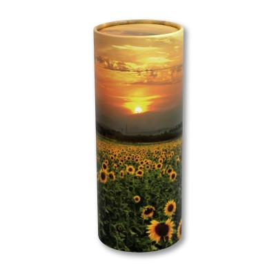 Scatter Tube Sunflower Fields