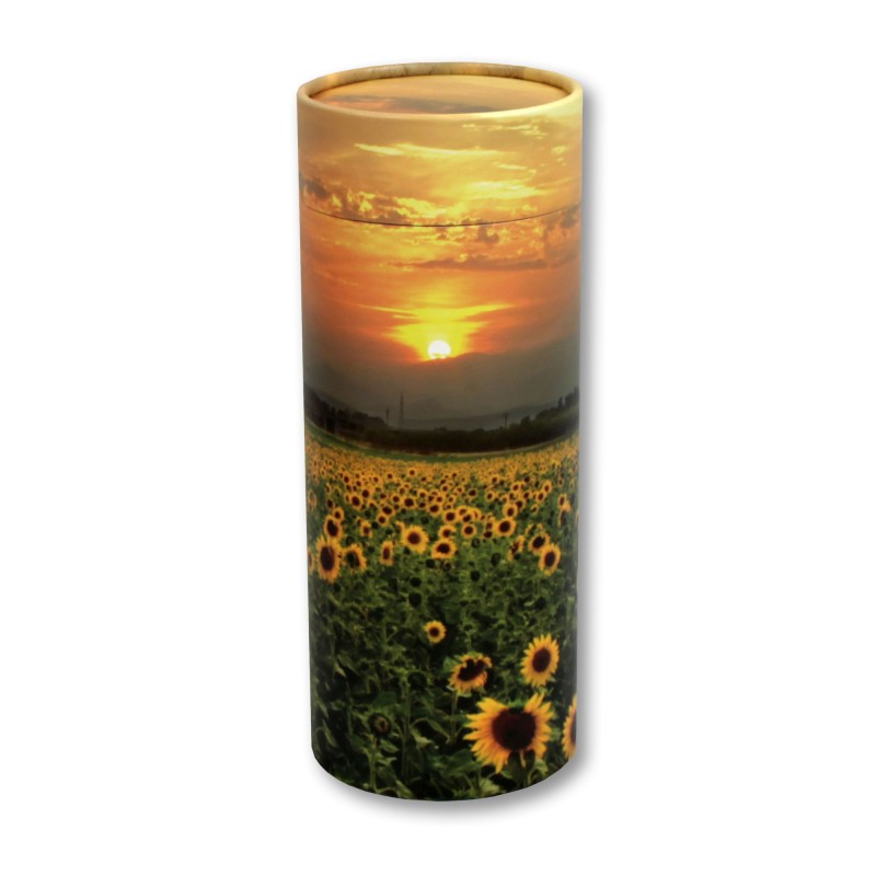 Scatter Tube Sunflower Fields