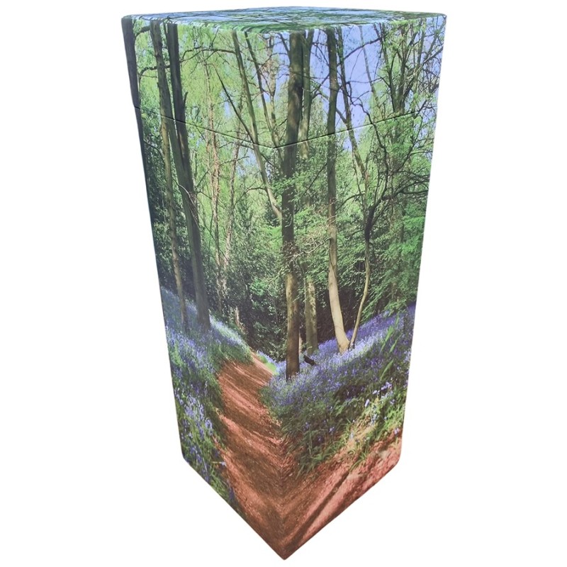 Woodland Bluebell Companion Scatter Pod