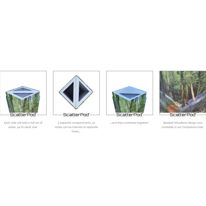 Woodland Bluebell Companion Scatter Pod