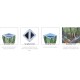 Woodland Bluebell Companion Scatter Pod