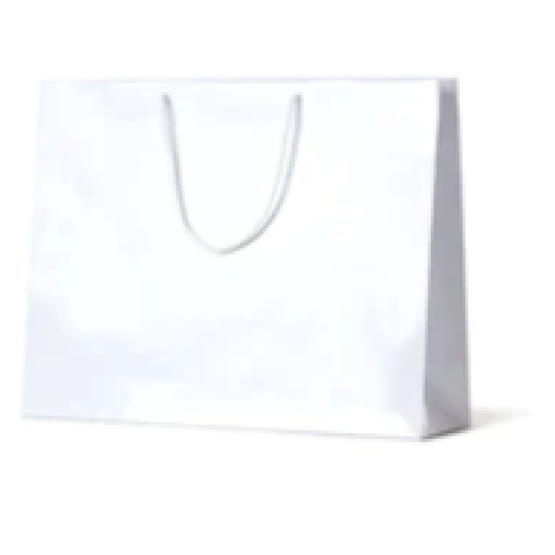 White gloss bag 
